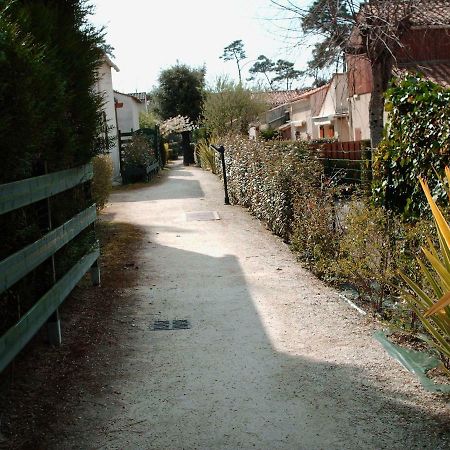 Les Pins Ensoleilles Daire Saint-Georges-de-Didonne Dış mekan fotoğraf